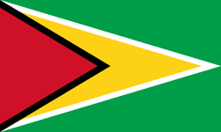 Guyana flag