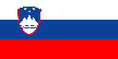 Slovenia flag