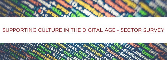 Share your perspective: Supporting Culture in the Digital Age