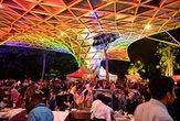 8th World Summit on Arts and Culture
